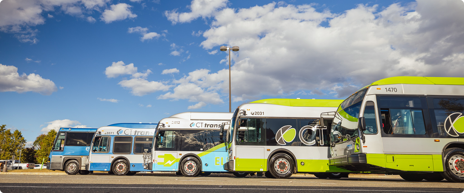 A row of five CTtransit buses in blue and lime green livery parked under a cloudy sky.