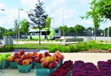 Farm Stand each Monday July 16 to October 29, 2018. Farm Stand each Monday July 16 to October 29, 2018.