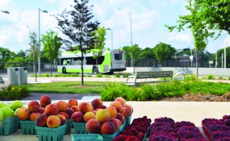 Farm Stand each Monday July 16 to October 29, 2018. Farm Stand each Monday July 16 to October 29, 2018.