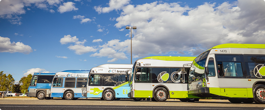 A row of five CTtransit buses in blue and lime green livery parked under a cloudy sky.